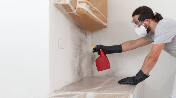 Professional Mold Inspection And Testing technician working in Harbert, MI