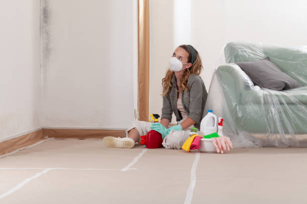 Reliable Mold Inspection And Testing contractor in Harbert, MI by Mold Remediation HQ