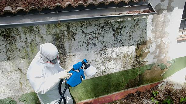 Top rated local Mold Inspection And Testing specialists in Harbert, MI